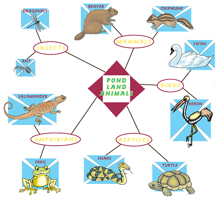 Land Animal Names | www.imgarcade.com - Online Image Arcade!